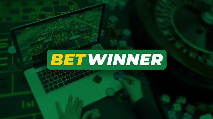 Exploring the Excitement of BetWinner Casino
