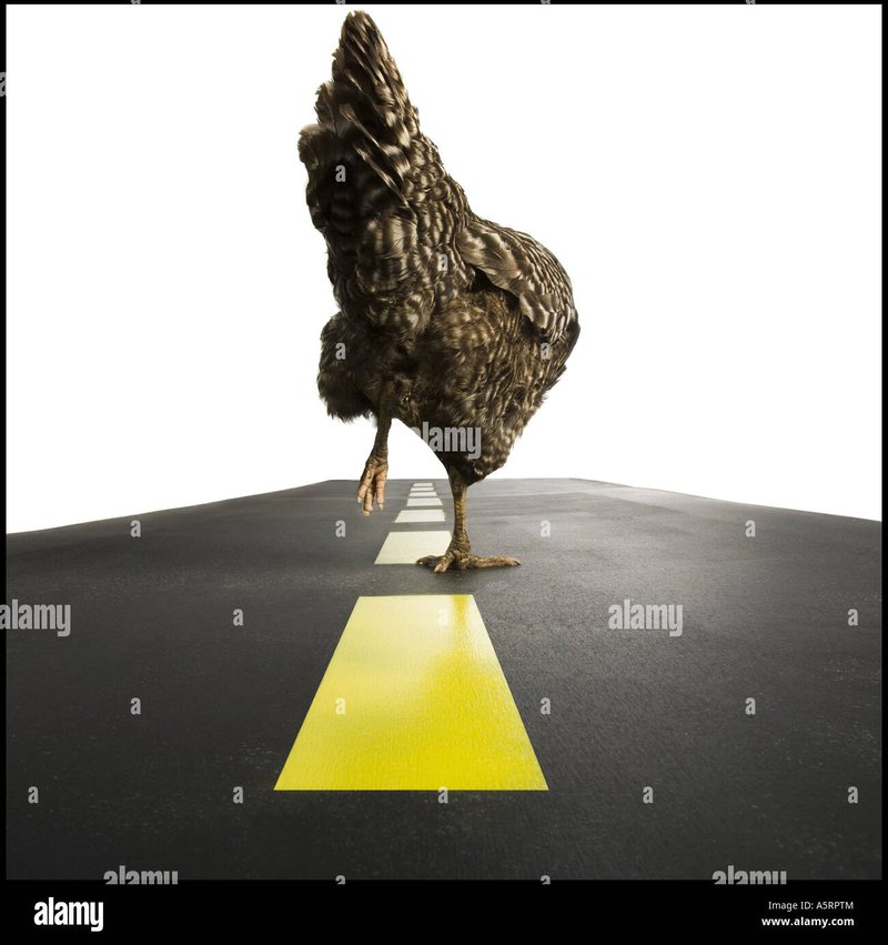 Image: Descubre el Misterio detrás de Chicken Road Casino en España